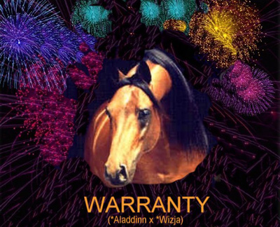 Warranty
